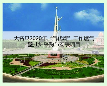 大名县工程案例.jpg
